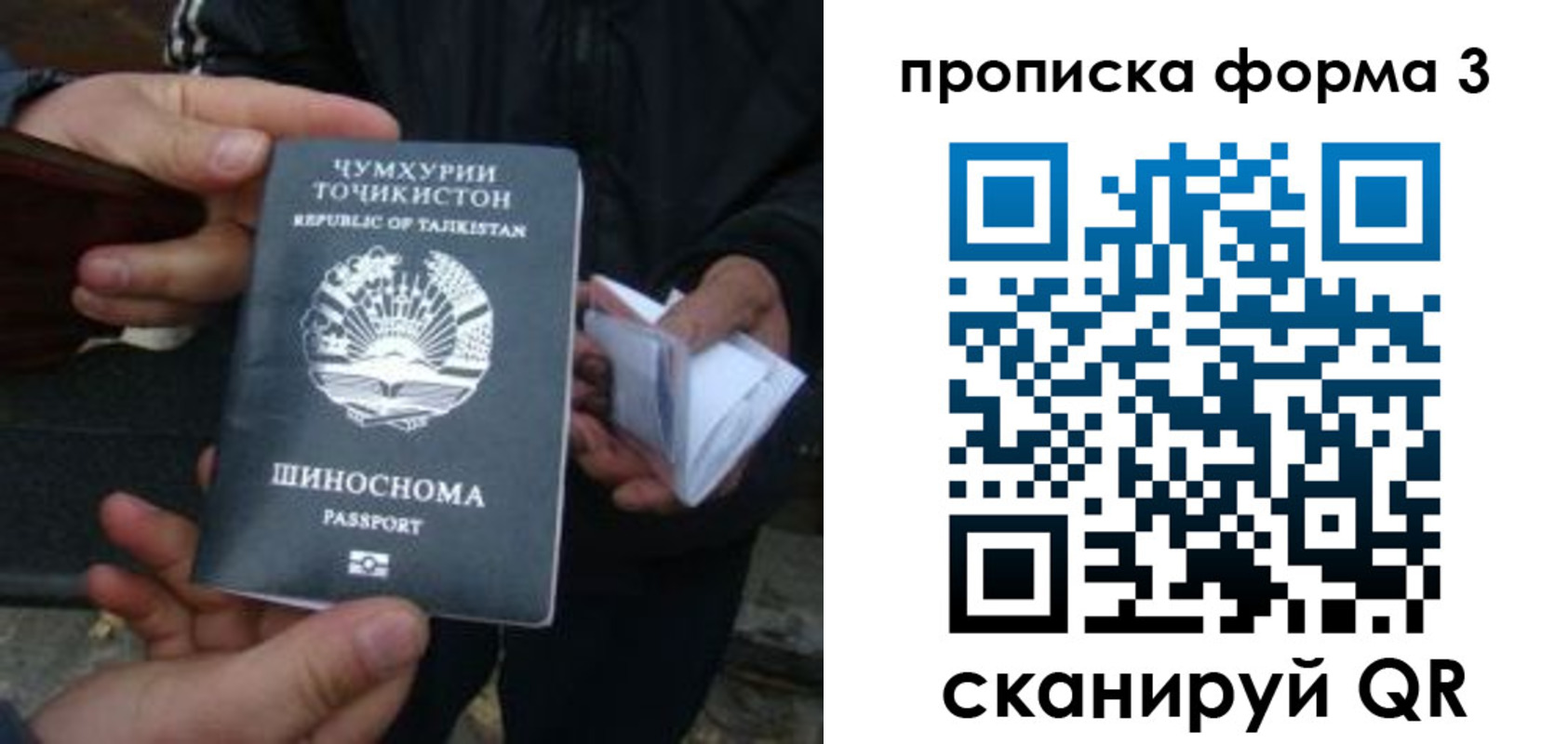 прописка 2025 в Тынде